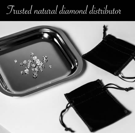 Evelyn Harrington - Gemologist